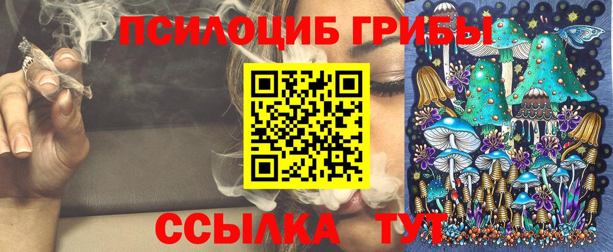 Пугачёв  Псилоцибиновые грибы мицелий  купить   Вход с VPN  Псилоцибиновые грибы Magic Shrooms 